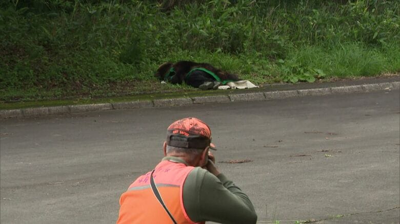 「緊急銃猟」の訓練