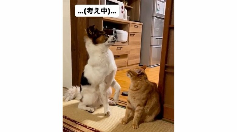 どっちが悪かったかもう一度考えてみよう…