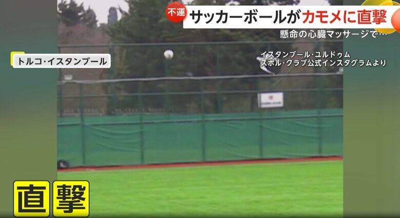 サッカーの試合中、ボールが空を飛んでいたカモメに直撃する瞬間（2月、トルコ・イスタンブール）⑥