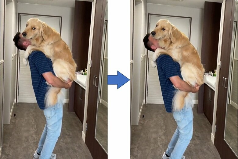 上下に揺らしてあやしているよう…