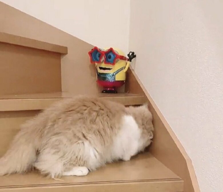 全身でぷん太郎くんを構っていた