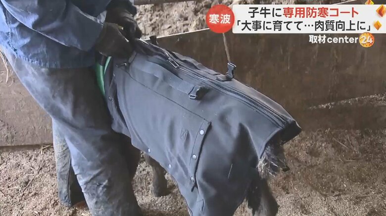 ファスナーを尻尾側から首側に向かって閉めれば完了