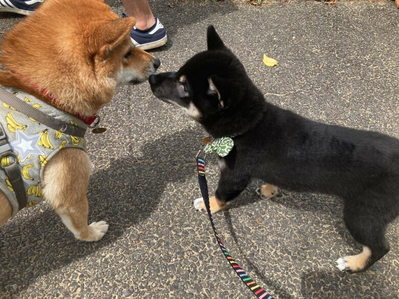 提供：小梅と小夏さん