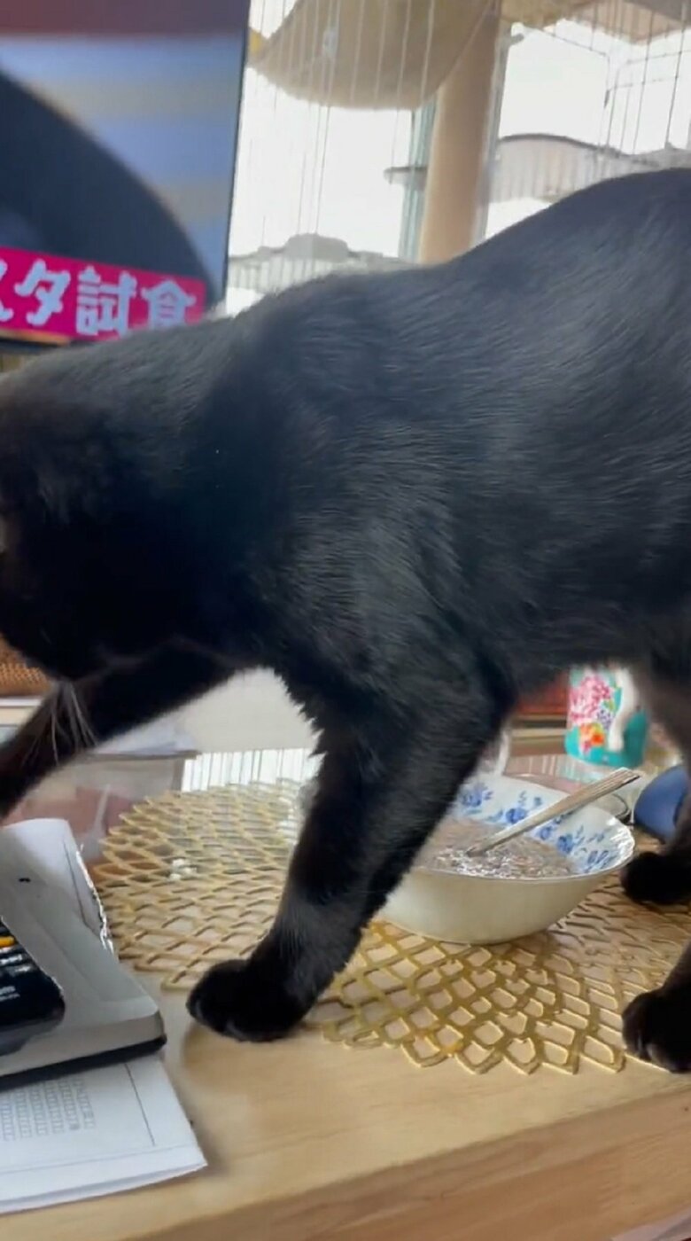 こっちからもかけないと…