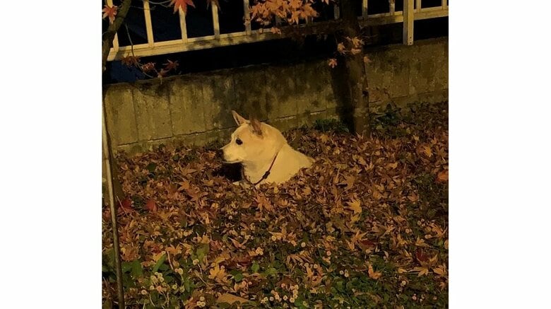 2021年の帰宅拒否の様子