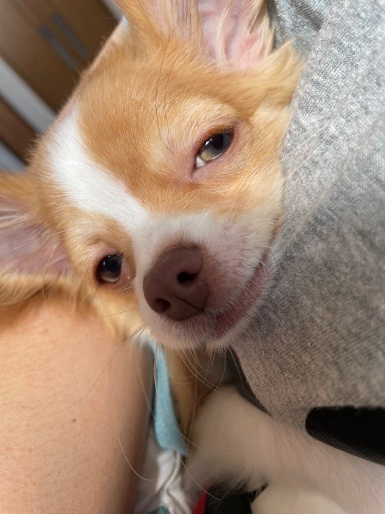 提供：ふくのすけさん