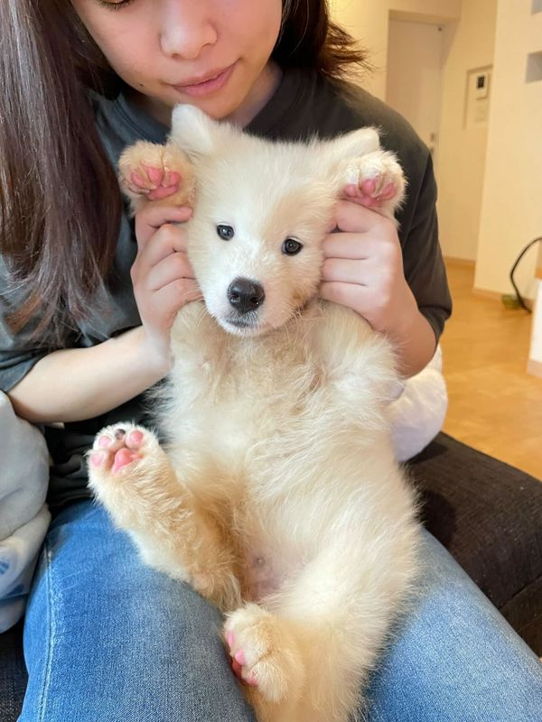 幼い頃のアイビーちゃん（提供：ibukimama38さん）