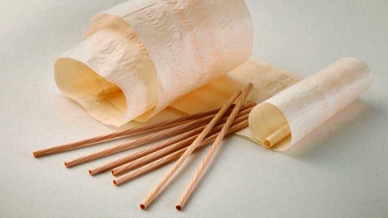 処分する木材で木製ストローを!プラスチックゴミ削減に奮闘する一人の女性【岡山発】