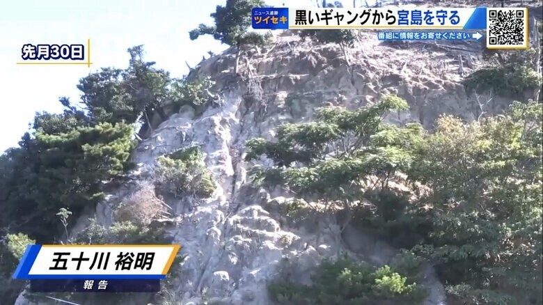 「寄せつけない工夫」が自然の再生を後押し