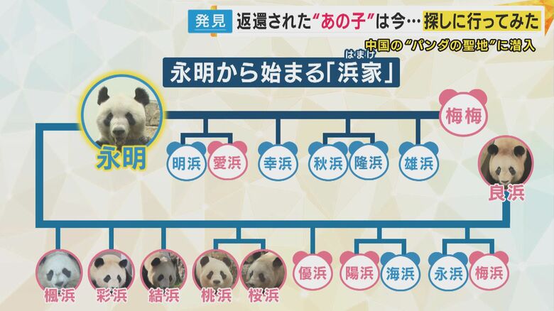 永明から始まる「浜家」