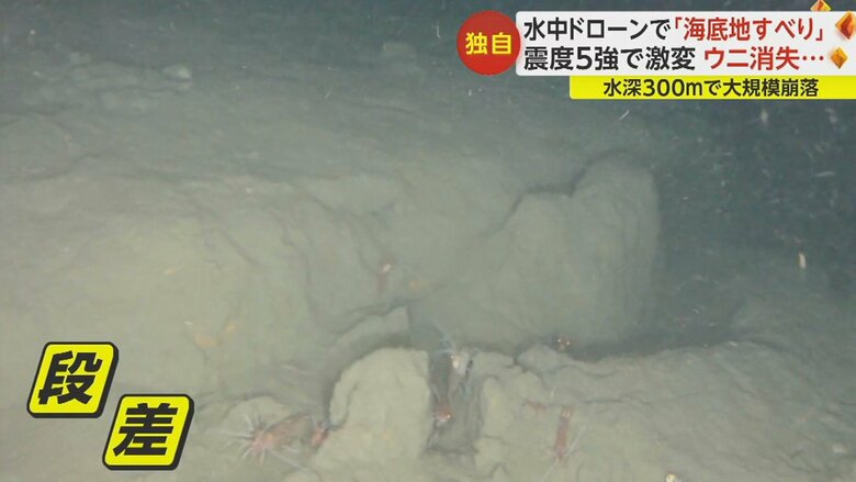 海底地滑りの痕跡とみられ、これにより地震発生から3分後に津波が押し寄せたか