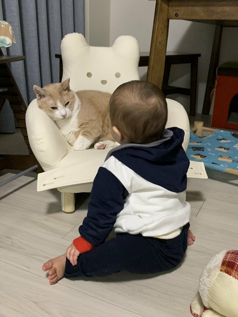 猫とお話し中？