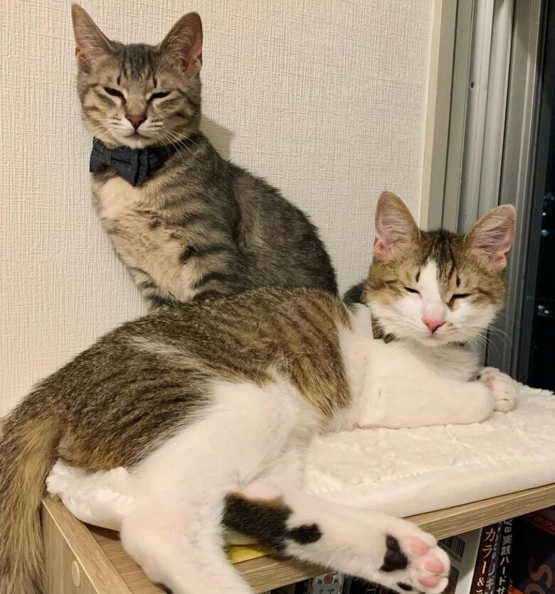 記念写真のような一枚