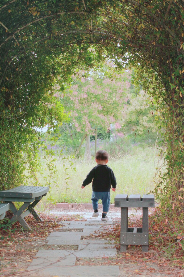 提供：エディさん