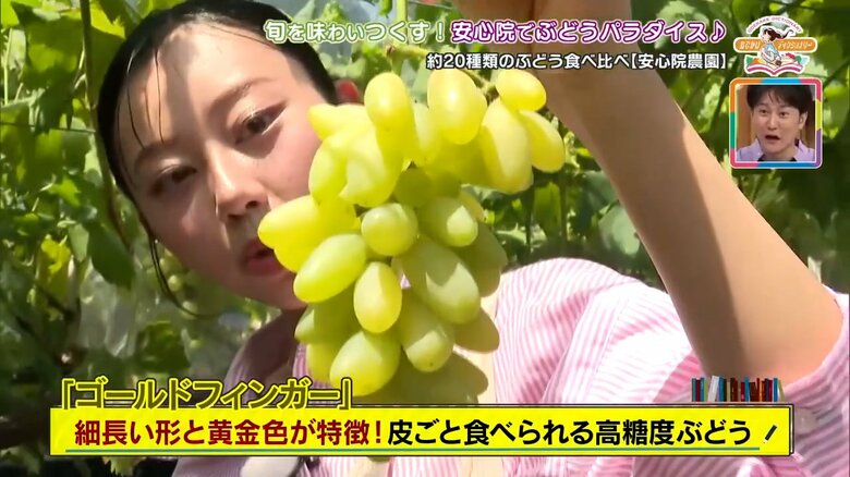 指のように細長い形が特徴の「ゴールドフィンガー」