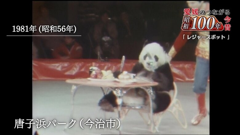 愛らしいパンダの姿に大きな歓声