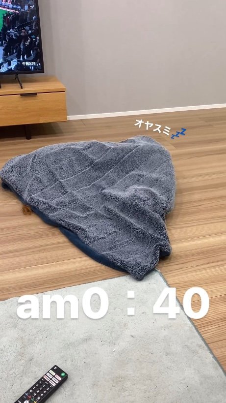 提供：関口和也さん