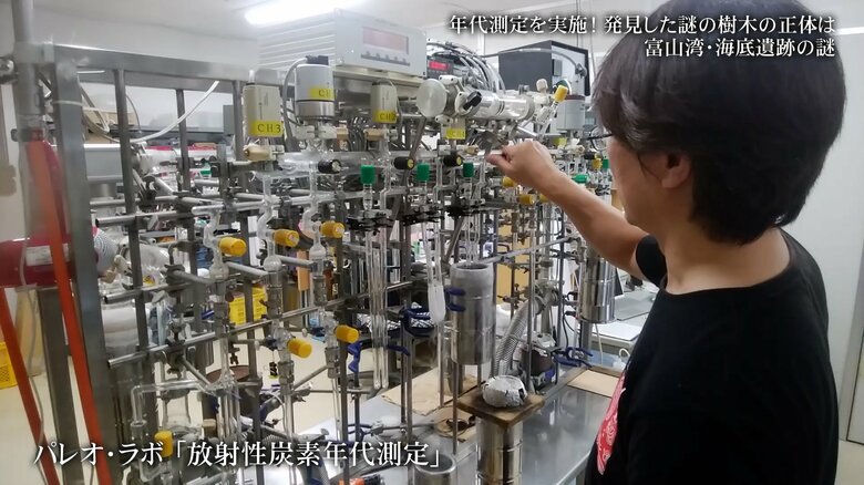 放射性炭素年代測定