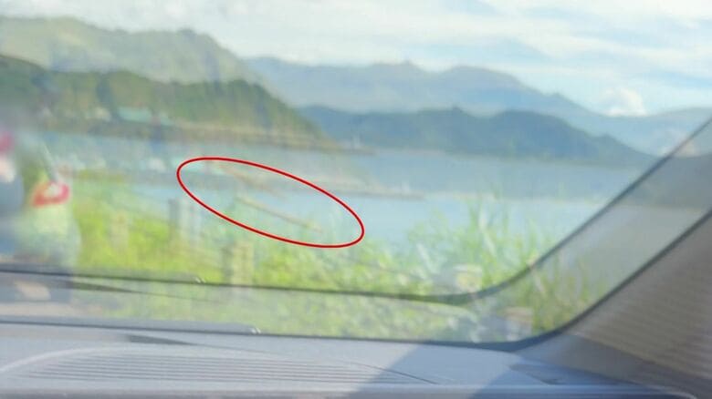 ゴミを次々と海に