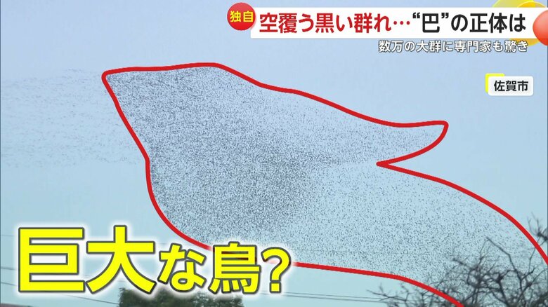 巨大な鳥にも見えた黒い影