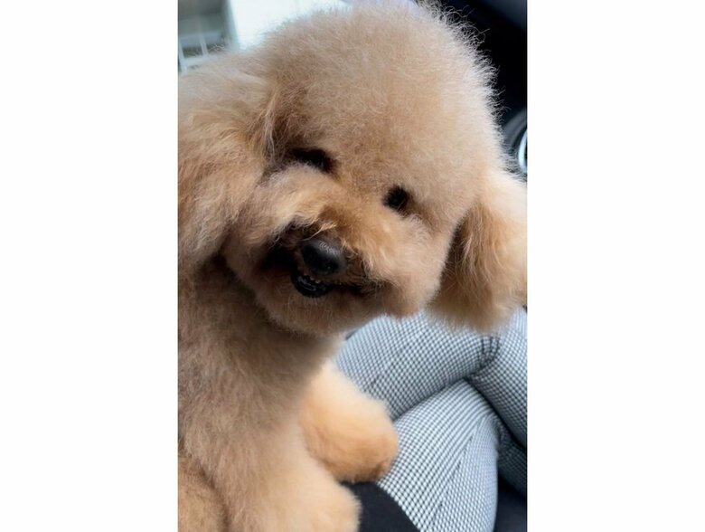 提供：ピン太郎ママさん