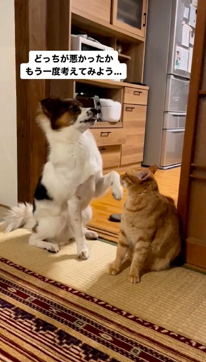 1度、アグちゃんは視線を遠くへ向けて…