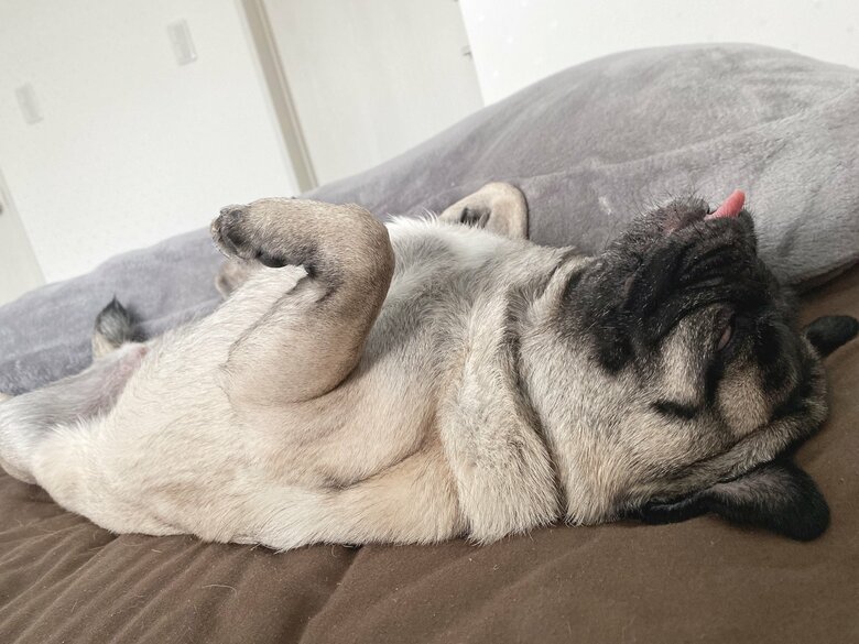 提供：ボンさん