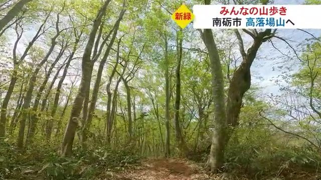 ブナの原生林