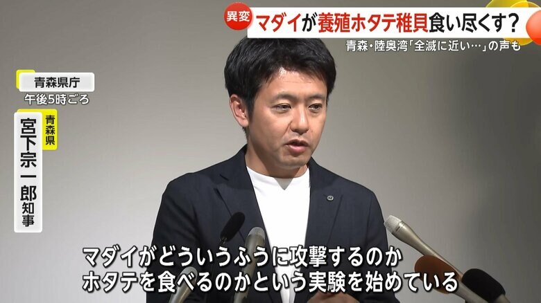 すでに解決策を模索しはじめていることを明かした青森県の宮下知事