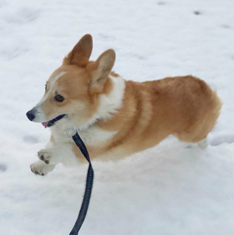 提供：むぎん家＠きよらさん