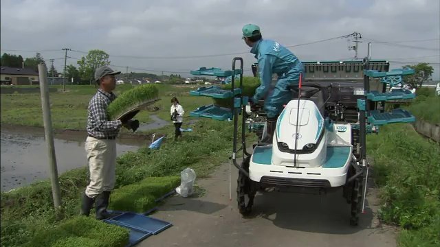 農業を40年以上　原発事故の影響で一時コメの作付けが制限