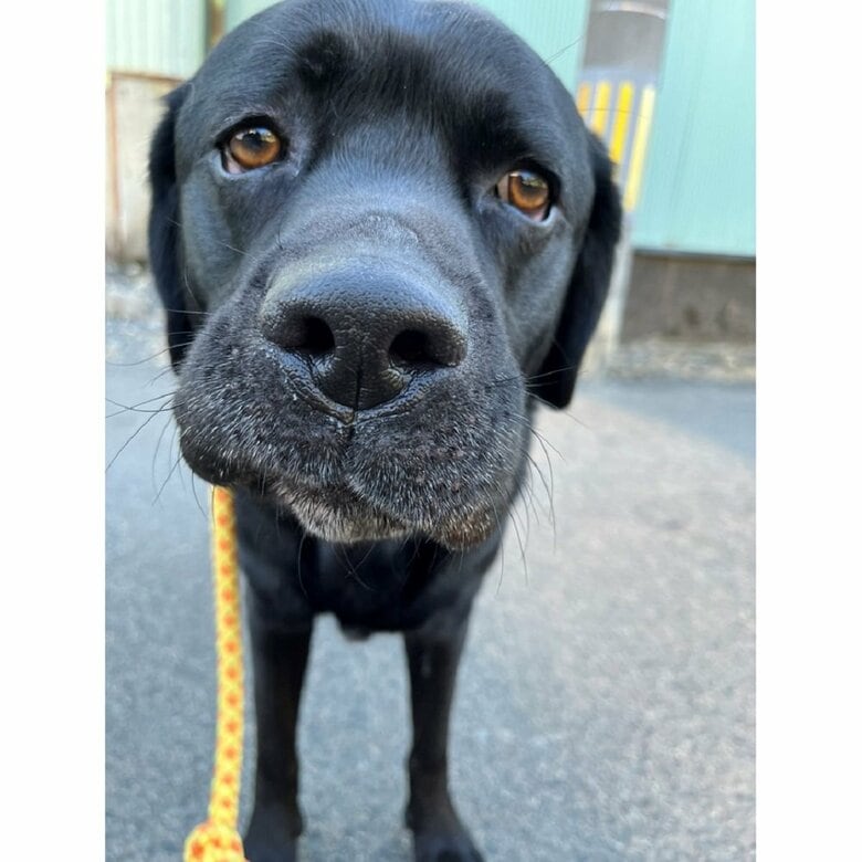 「それな！」という表情のサンタくん