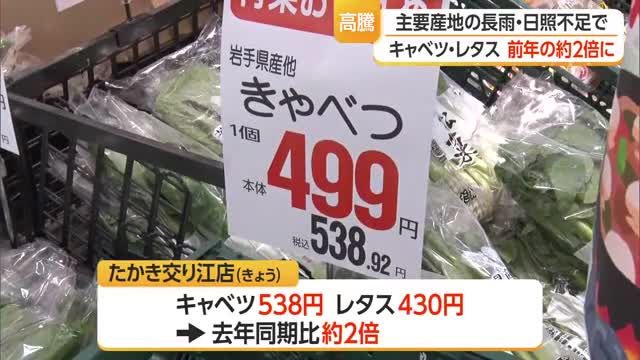 キャベツ・レタスなど葉物野菜の価格約2倍に…主要産地の長雨・日照不足で 山形