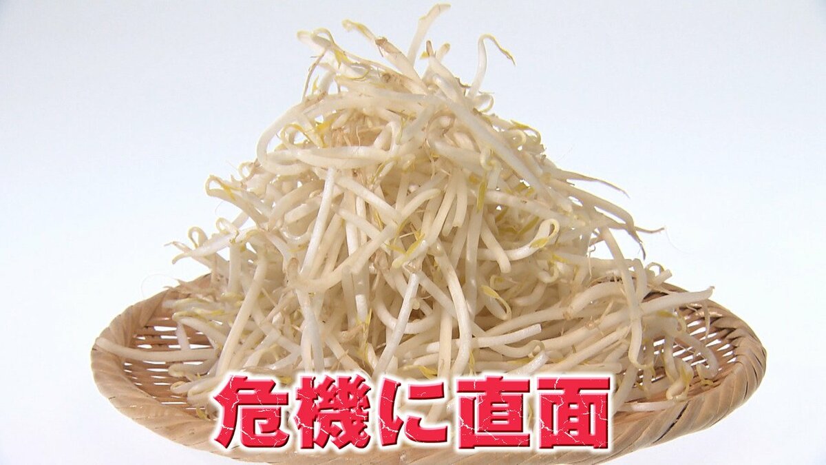 もやし出品 危機】“家計の味方”もやしがピンチ！値上げ＆生産者減少のダブルパンチ