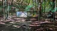 キノコ採りの男性がクマに襲われ“5分格闘”　顔と体ひっかかれ負傷も自力で下山　命に別状なし　長野・伊那市