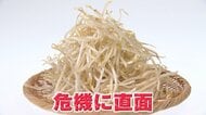 【危機】“家計の味方”もやしがピンチ！値上げ＆生産者減少のダブルパンチ　緊急アンケートで「もやしの購入限界価格」