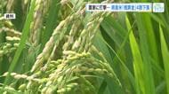 県産新米「概算金」４割引き下げ　コメ不足から一転コメ余り　農家は赤字経営の可能性も　広島