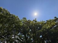 大分県内で2026年初の真夏日　日田市で30.4度を観測（午後1時時点）