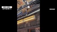 ゴールデンウイークの浅草で“ミツバチ”大量発生　人気居酒屋めがけて…観光地が騒然　一時、営業ストップの近隣の店も