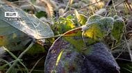 各地で冷え込み強まり上市町では今季初の氷点下に　夜遅くにはにわか雨も