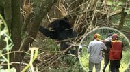 「クマが反撃してきたら命懸け」　有害鳥獣駆除の最前線に立つ猟友会の決意　緊急銃猟解禁…危険覚悟で“いつか来るその日”に備え