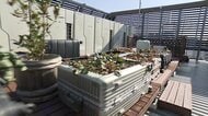 放置スーツケースで“新発想”　ホテルの屋上菜園にプランターとして再利用　収穫野菜や果物30種類は直営レストランで提供