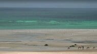 フーシ派がバーブルマンデブ海峡でも通航料徴収を検討　物流や原油輸送への影響懸念　ロイター