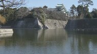 名古屋城のお堀で「水質浄化作戦」決行へ　地元の洗車機メーカーが費用3000万円を負担