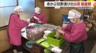 庄内の冬の味覚「赤かぶ漬け」出荷ピーク　ほのかな甘みシャキシャキ食感が特徴　山形・鶴岡市