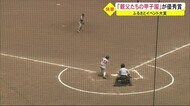 「親父たちの甲子園」が優秀賞に…第25回ふるさとイベント大賞 秋田