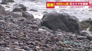 冬眠時期になぜ…相次ぐ