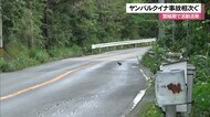 ヤンバルクイナの事故多発