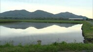 岡山県北 初夏の風物詩 水面が鏡のように反射して映る「逆さ蒜山三座」 【岡山・真庭市】