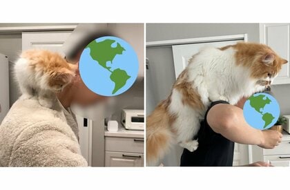 “1年後に10倍”肩乗り猫のビフォーアフターに仰天…飼い主「ものすごく重いです」